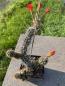 Preview: Loxanthocereus gracilis